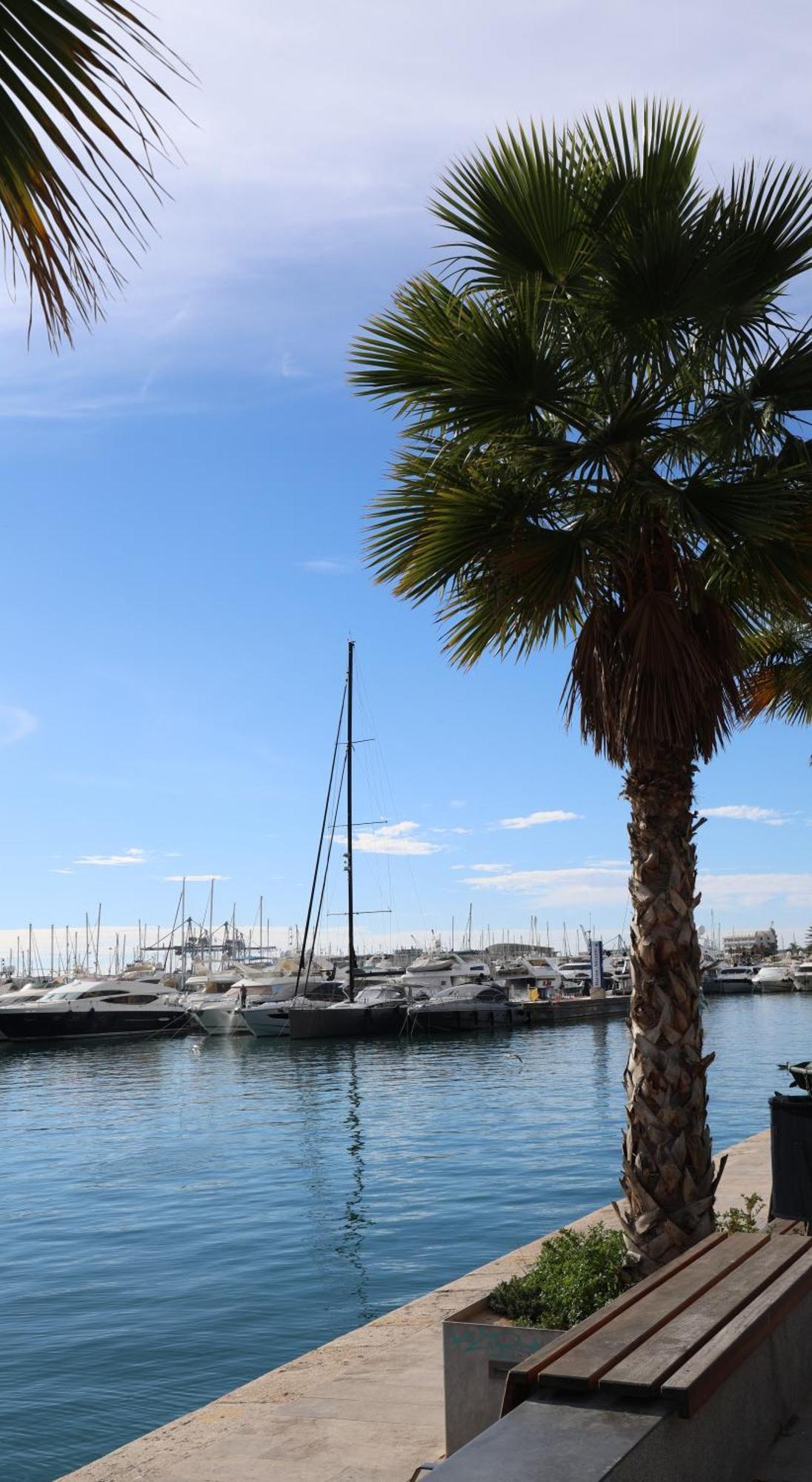 Alicantan Vital Experience Alicante Eksteriør bilde