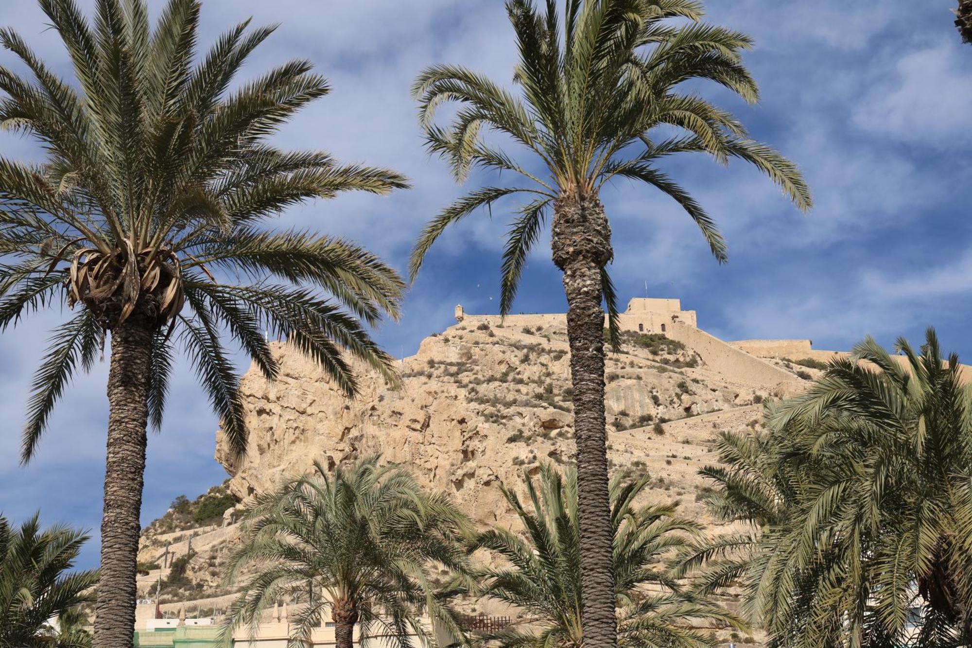 Alicantan Vital Experience Alicante Eksteriør bilde