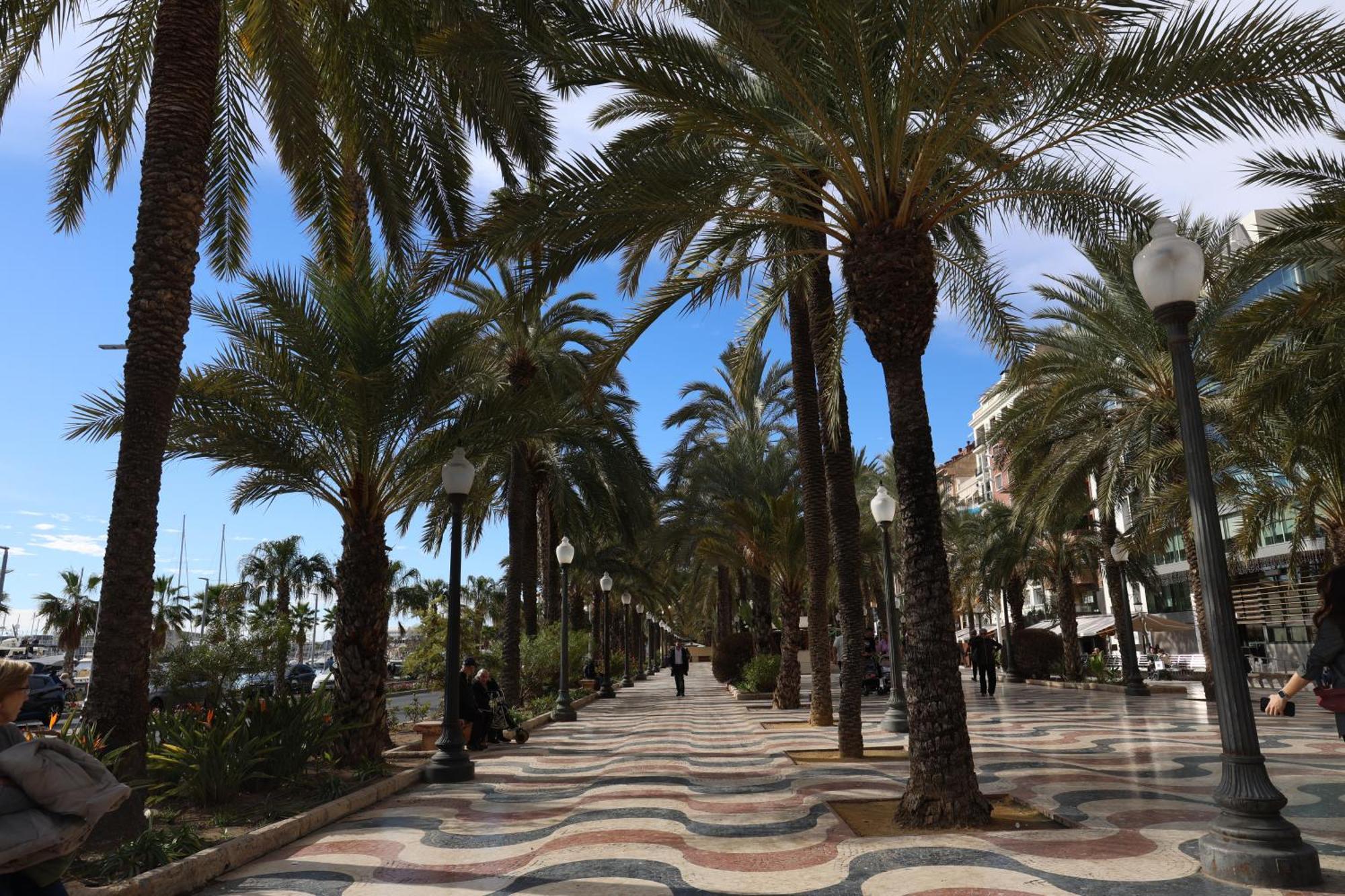 Alicantan Vital Experience Alicante Eksteriør bilde