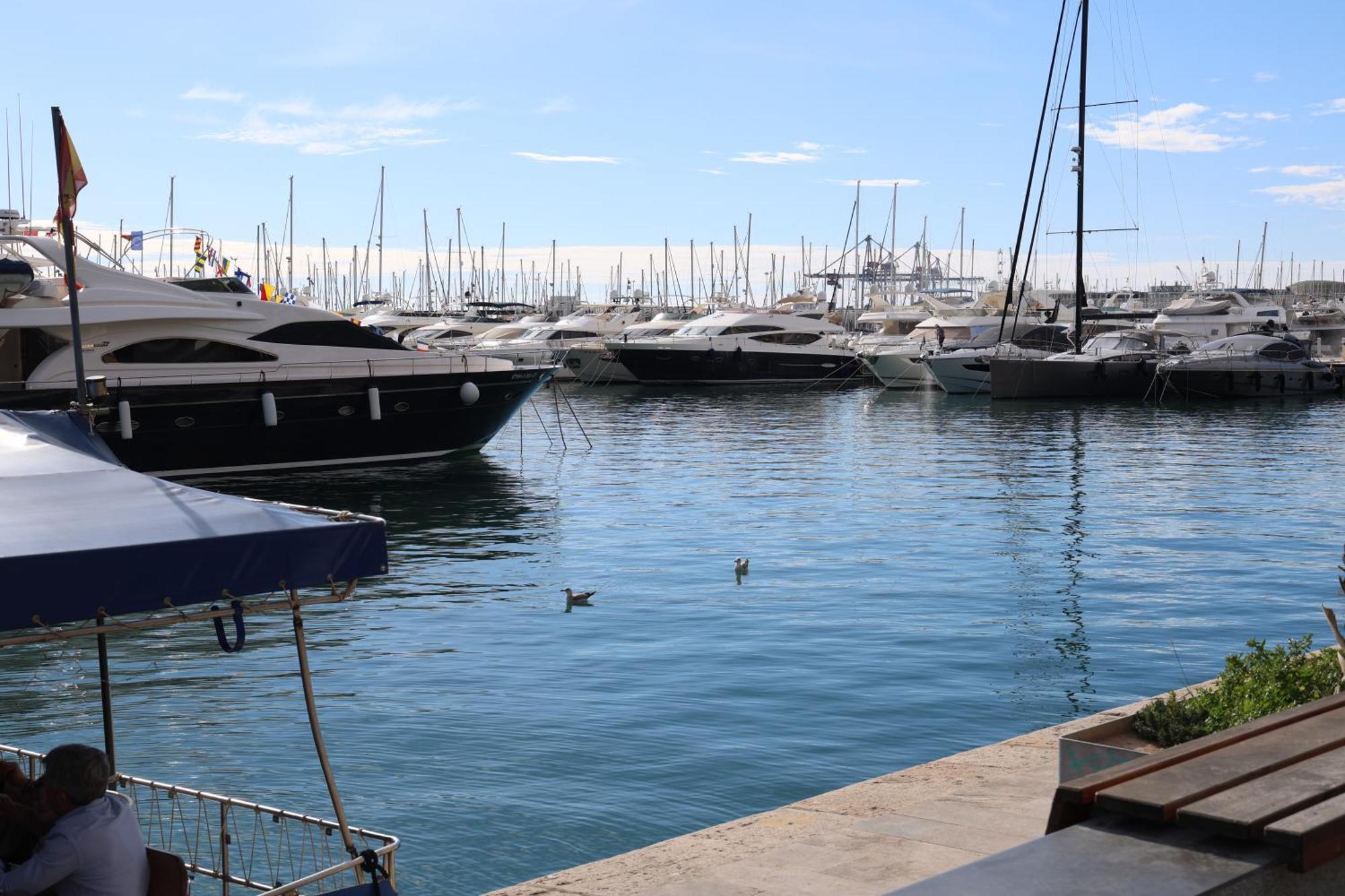 Alicantan Vital Experience Alicante Eksteriør bilde
